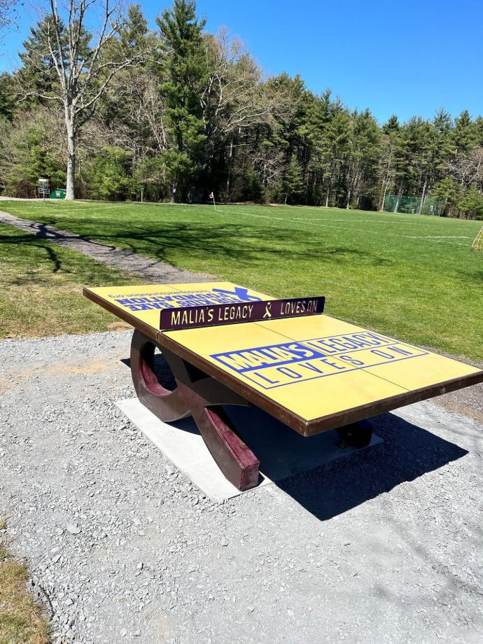 Memorial concrete ping pong table cancer tribute table